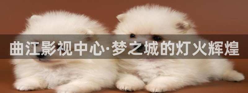 污污污草莓视频在线观看：曲江影视中心·梦之城的灯火辉煌