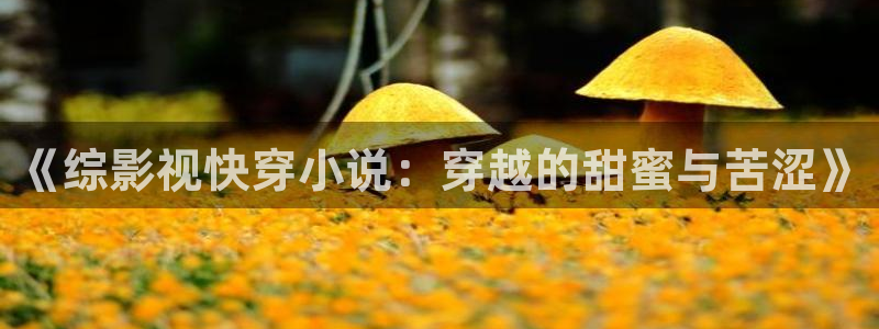 草莓视频吗：《综影视快穿小说：穿越的甜蜜与苦涩》