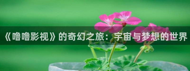 草莓视频18下载：《噜噜影视》的奇幻之旅：宇宙与梦想的世界