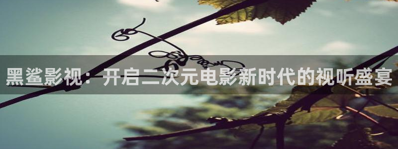 小草莓视频在线：黑鲨影视：开启二次元电影新时代的视听盛宴