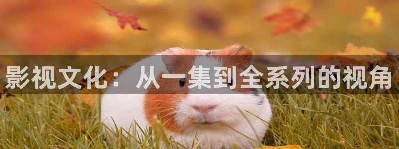 草莓视频在线免费app：影视文化：从一集到全系列的视角