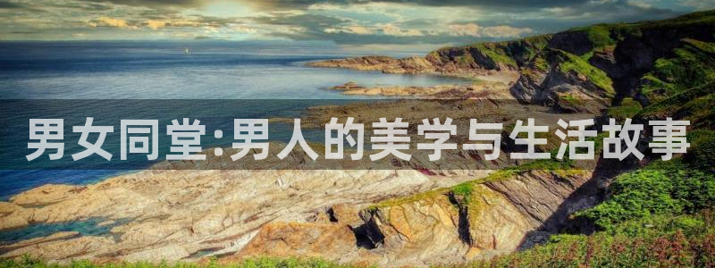 草莓视频www18：男女同堂:男人的美学与生活故事
