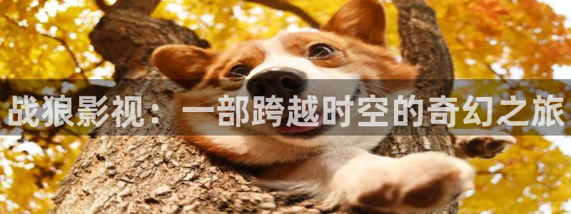 亚州草莓视频：战狼影视：一部跨越时空的奇幻之旅