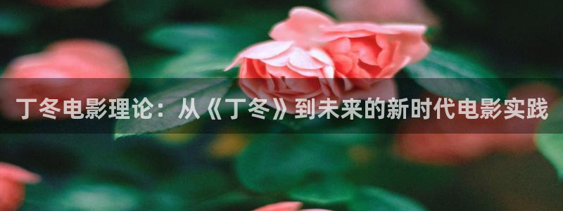 草莓视频这些观看：丁冬电影理论：从《丁冬》到未来的新时代电影实践